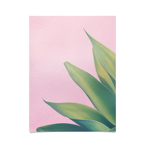 Catherine McDonald Pink Agave Poster