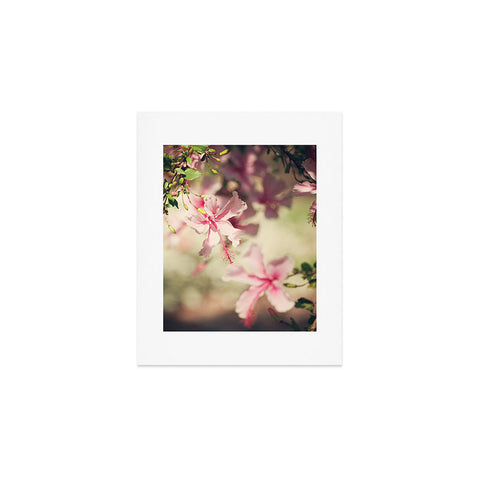 Catherine McDonald Pink Hibiscus Art Print