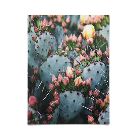 Catherine McDonald Prickly Pear Poster
