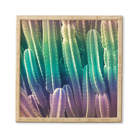 Catherine McDonald Rainbow Cactus Framed Wall Art