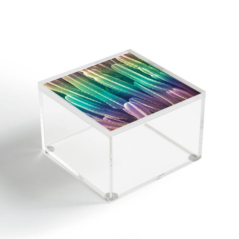 Catherine McDonald Rainbow Cactus Acrylic Box
