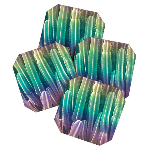 Catherine McDonald Rainbow Cactus Coaster Set