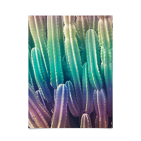 Catherine McDonald Rainbow Cactus Poster