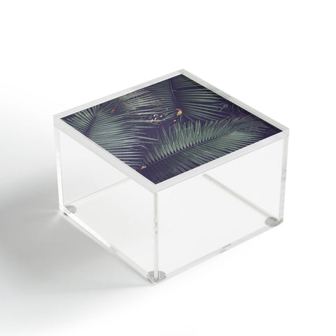 Catherine McDonald Rainforest Floor Acrylic Box