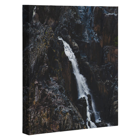 Catherine McDonald Rainforest Waterfall Art Canvas