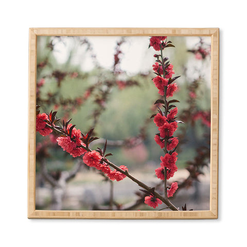 Catherine McDonald Red Peach Blossoms In China Framed Wall Art