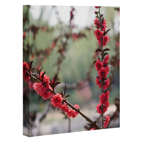 Catherine McDonald Red Peach Blossoms In China Art Canvas