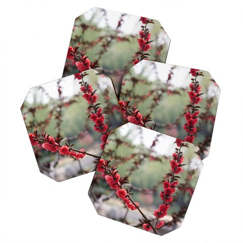 Catherine McDonald Red Peach Blossoms In China Coaster Set