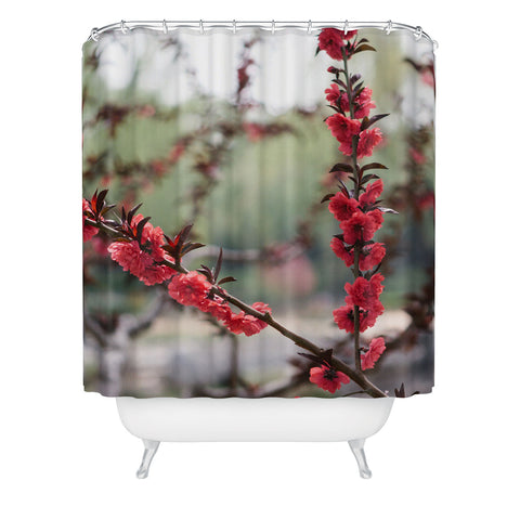 Catherine McDonald Red Peach Blossoms In China Shower Curtain