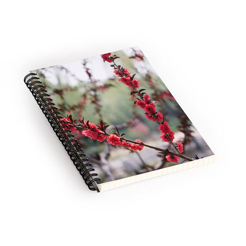 Catherine McDonald Red Peach Blossoms In China Spiral Notebook