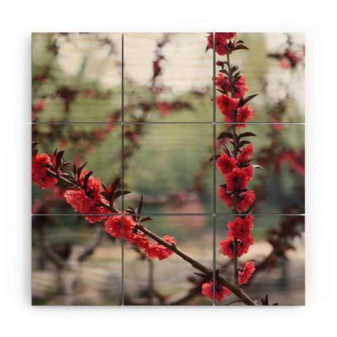 Catherine McDonald Red Peach Blossoms In China Wood Wall Mural