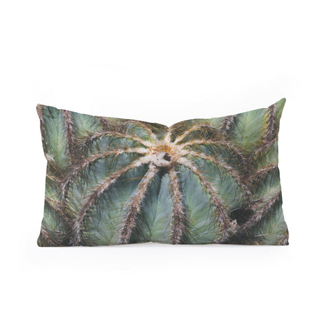 Catherine McDonald Southwest Cactus Oblong Throw Pillow
