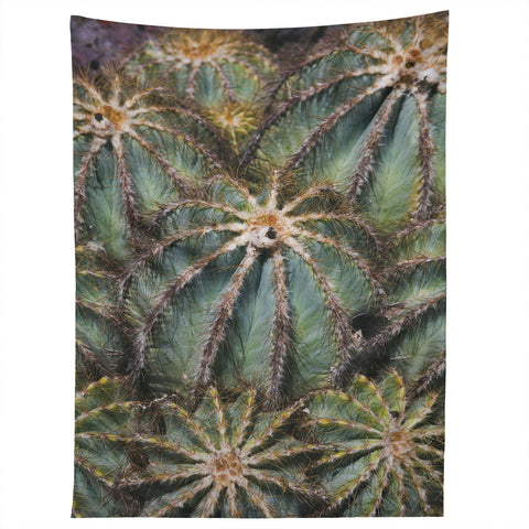 Catherine McDonald Southwest Cactus Tapestry