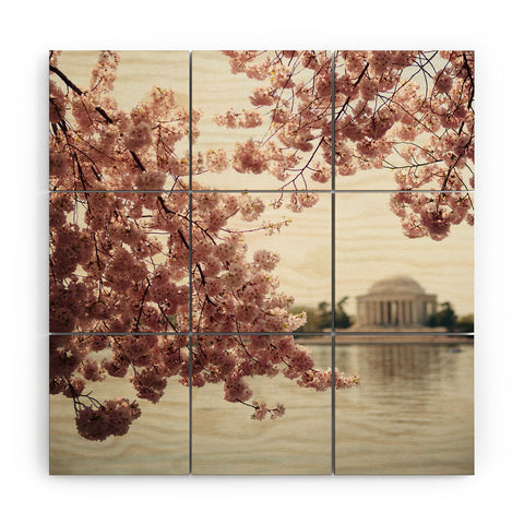 Catherine McDonald Spring In DC 2 Wood Wall Mural