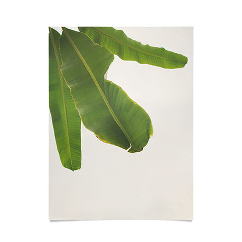 Catherine McDonald Tropical Banana Leaves Poster