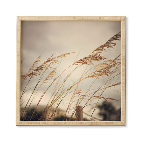Catherine McDonald Wild Oats To Sow Framed Wall Art