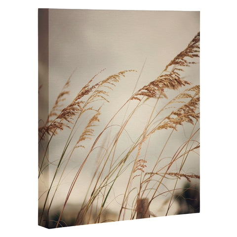 Catherine McDonald Wild Oats To Sow Art Canvas