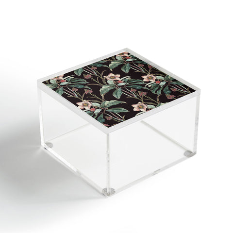 CayenaBlanca Dramatic Garden Acrylic Box