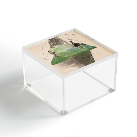 Ceren Kilic Birds 2 Acrylic Box