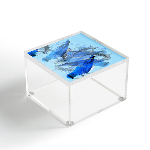 Ceren Kilic Body Talk Acrylic Box