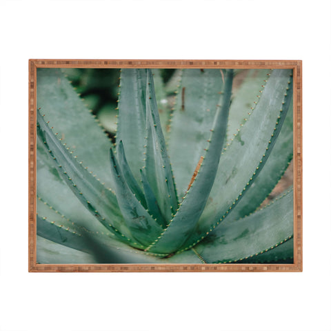 Chelsea Victoria Agave Rectangular Tray