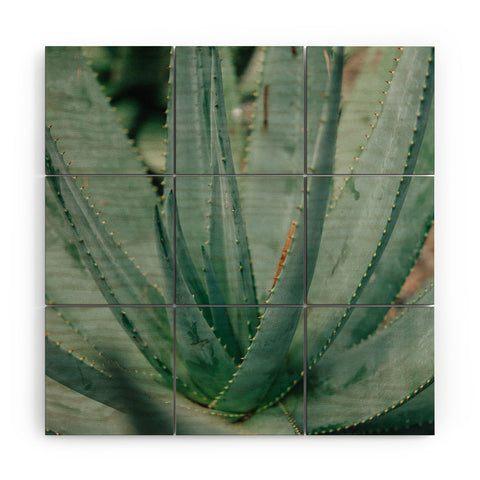 Chelsea Victoria Agave Wood Wall Mural