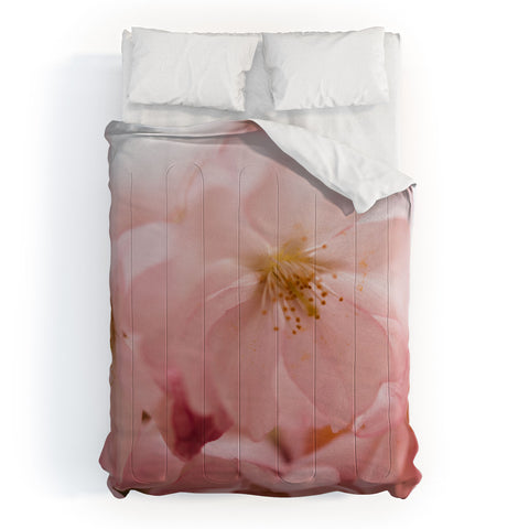 Chelsea Victoria Cherry Blossom Girl Comforter