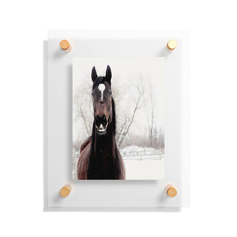 Chelsea Victoria Dark Horse Floating Acrylic Print