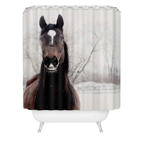 Chelsea Victoria Dark Horse Shower Curtain