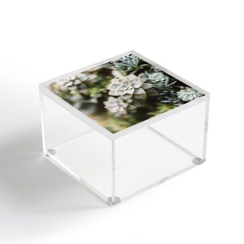 Chelsea Victoria Desert Bloom Acrylic Box