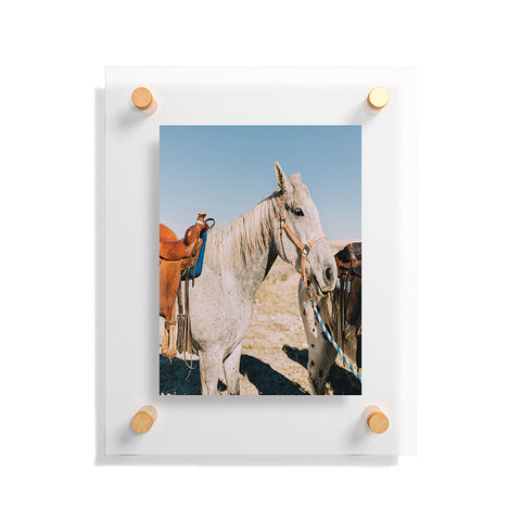 Chelsea Victoria Desert Horse Floating Acrylic Print