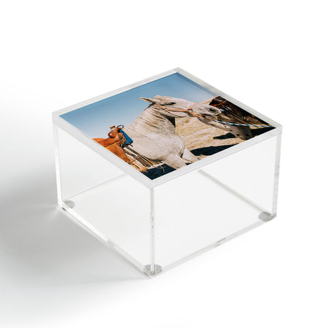 Chelsea Victoria Desert Horse Acrylic Box