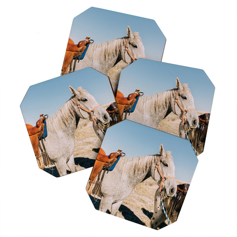 Chelsea Victoria Desert Horse Coaster Set