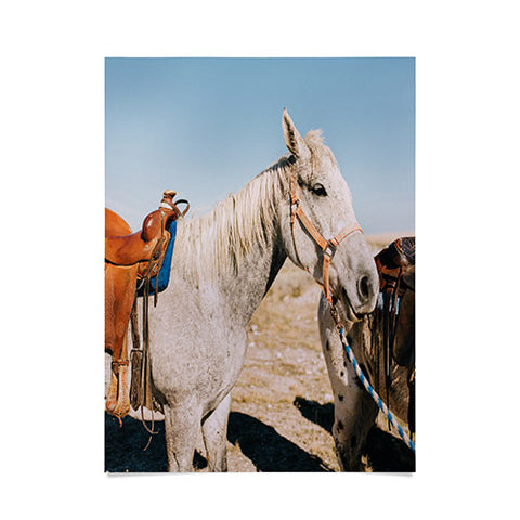 Chelsea Victoria Desert Horse Poster