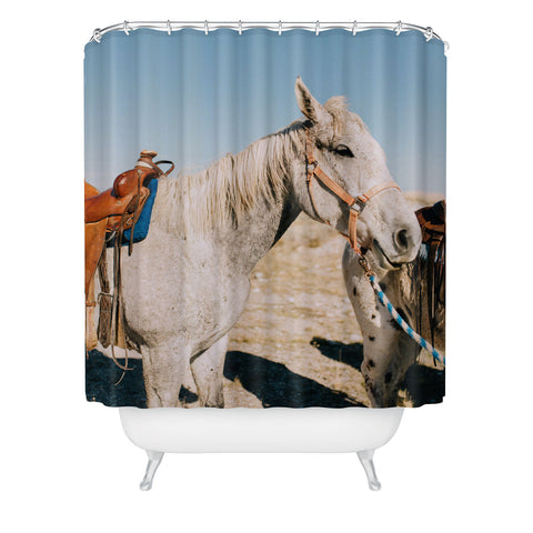 Chelsea Victoria Desert Horse Shower Curtain