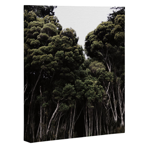 Chelsea Victoria Do Not Go Into The Woods Art Canvas