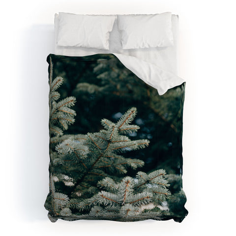 Chelsea Victoria Evergreen Comforter