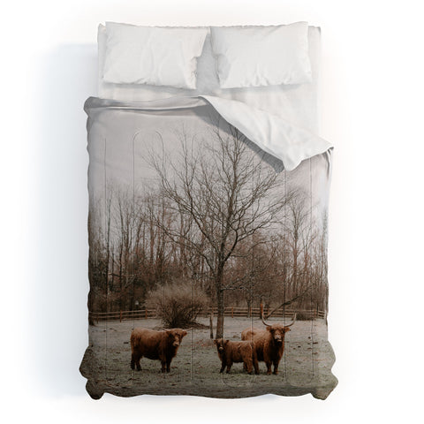 Chelsea Victoria Highland Cows Comforter