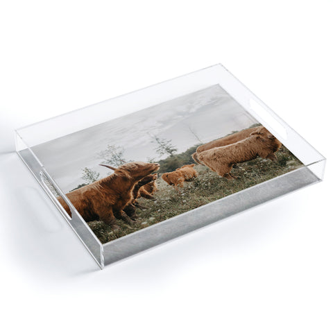 Chelsea Victoria Highland Cows In The Meadow Acrylic Tray