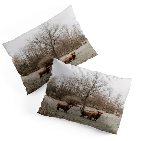 Chelsea Victoria Highland Cows Pillow Shams