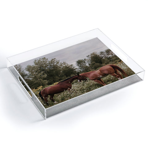 Chelsea Victoria Horses in The Field Acrylic Tray