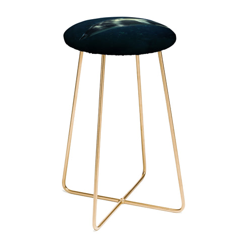 Chelsea Victoria Jaws Counter Stool