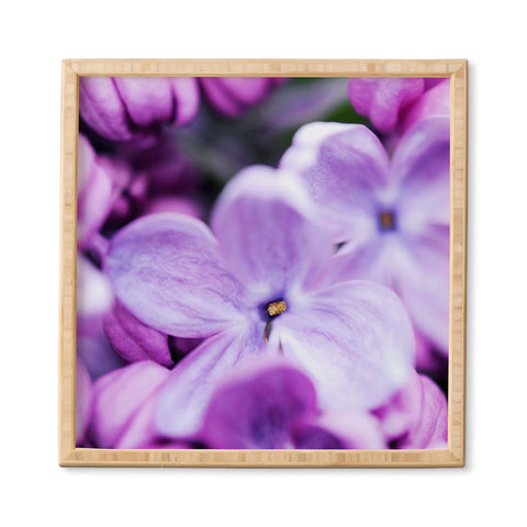 Chelsea Victoria Lilac Lilac Framed Wall Art
