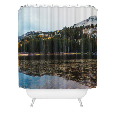Chelsea Victoria Magic Mountain Shower Curtain