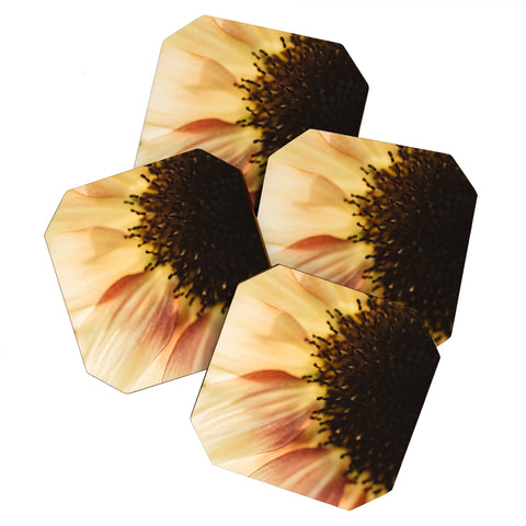 Chelsea Victoria Mellow Sunflower Coaster Set