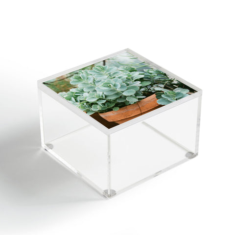 Chelsea Victoria Mint Green Succulent Acrylic Box