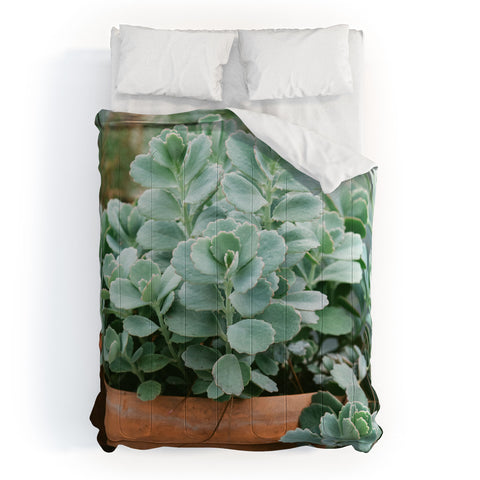 Chelsea Victoria Mint Green Succulent Comforter