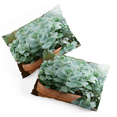 Chelsea Victoria Mint Green Succulent Pillow Shams