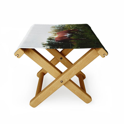 Chelsea Victoria Moon in The Meadow Folding Stool