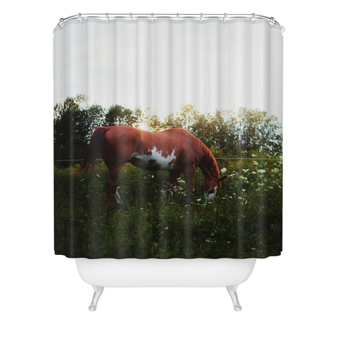 Chelsea Victoria Moon in The Meadow Shower Curtain